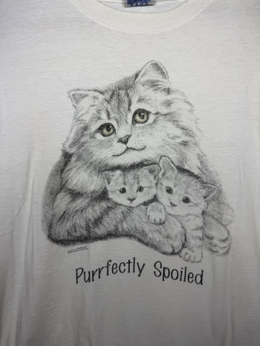 Vintage 90s Hanes Beefy-T Cat Shirt XL Purrfectly Spoiled Nancy Henderson Tee